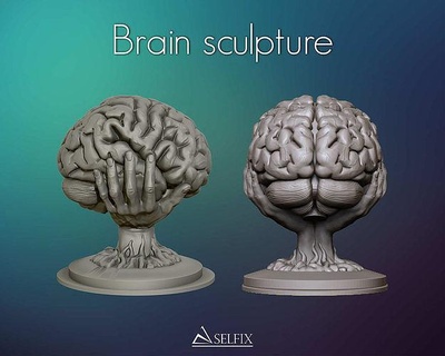 cerveau sculpture hémisphère neurologie anatomie neural psychologie cérébral intellect intelligence intellectuel Mémoire art sculptures 3d print model - Mito3D