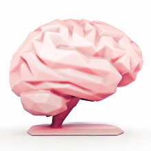 cerveau stand style low poly la science du le l'anatomie tête interne corps sculpture 3d d'impression statue de biologie 3d print model - Mito3D