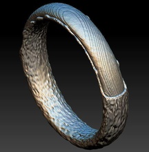 filiale ring1 gioielli argento anello la sterlina gioiello disco di platino moda art natura anelli 3d print model - Mito3D