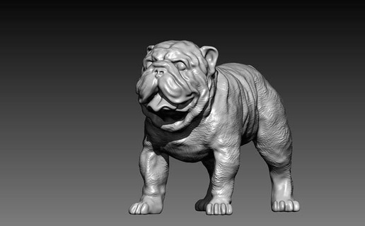 Britannico bulldog cane animale domestico scultura statua divertente bambino regalo giocattoli 3d Stampa stl Giochi 3d print model - Mito3D