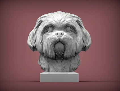 britânico shih tzu shihtzu cão natureza mamífero animal escultura estatueta lembrança presente 3d impressão modelo esculpir arte estátua fracasso esculturas 3d print model - Mito3D