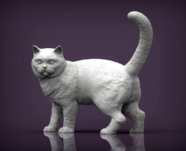 ingiliz kısa saç kedi tüylü hayvan memeli vahşi evcil yavru doğa yavrusu heykel heykelcik hatıra 3d yazdır model sanat heykeller 3d print model - Mito3D