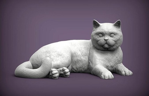 britisch kurzes Haar Katze britischkurzhaarkatze Tier Säugetier wild Haustier Kitty Natur Kätzchen Skulptur Statuette Souvenir 3d drucken Modell Kunst Skulpturen 3d print model - Mito3D