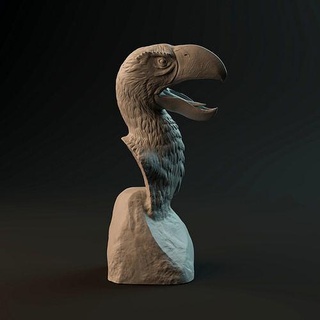 brontornis fracasso pre supported pré histórico pássaro cabeça animal figura estátua troféu miniatura terror arte esculturas 3d print model - Mito3D