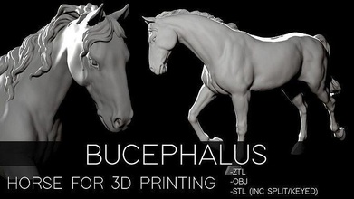 bucephalus - horse 3d printing statue animal resin printable art sculptures 3d print model - Mito3D