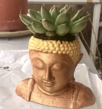 bouddha tête planteur fleur pots succulent vase nature maison décor 3d print model - Mito3D