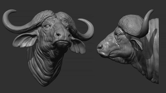 buffalo head animal sculpt 3d model mammal animals miniature jewellery art cnc sculptures printable statue sculpture cow bull farm horn 3d print model - Mito3D
