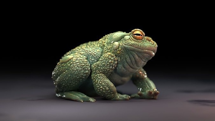 bufo abonnieren sonoran wüste kröte tier bildhauerei zbrush cmw kunst skulpturen 3d print model - Mito3D