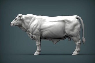 limousin touro procriar vaca corcunda taurina doméstico carne escultura gado bovino animais mamífero 3d impressão fazenda herbívoro esculturas arte 3d print model - Mito3D
