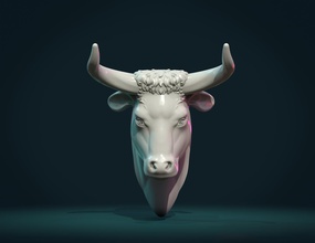 bull head mounted bust animal statue sculpture cow calf art sculptures 3d print model - Mito3D