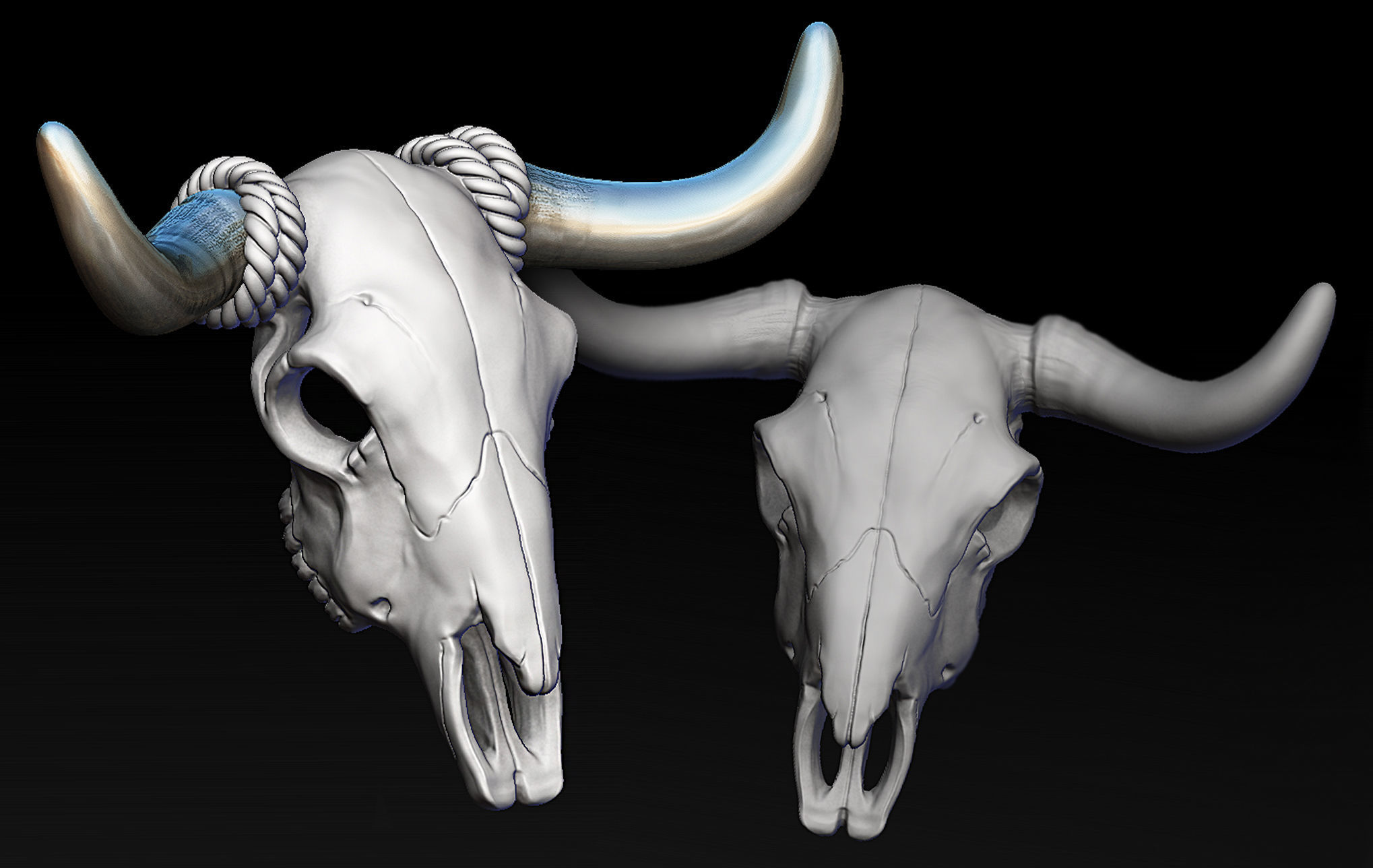 bull skull separate horns sculpture bone art statue teeth anatomy cow horn animal head jewelry pendant ring wildwest country western texas gold pendants 3D print model - Mito3D