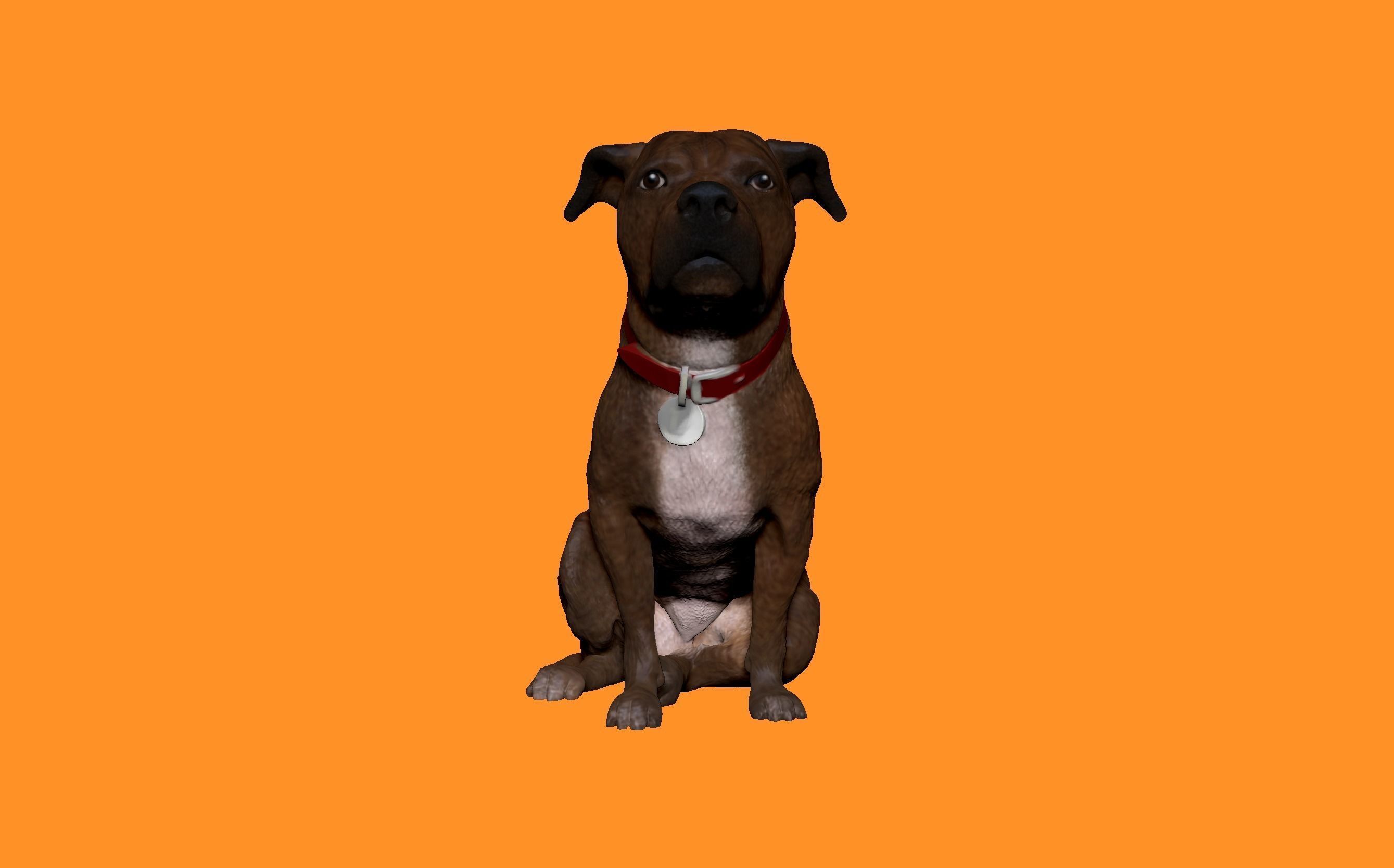 bullboxer pitt perro perrito canino pitbull terrier boxer 3d impresión animales mamífero juegos juguetes 3D print model - Mito3D