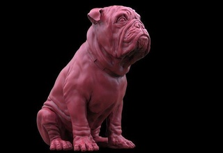 bouledogue chien loup animal objets collection miniatures réaliste anatomie figurines nature rauque rottweiler statue art sculptures 3d print model - Mito3D