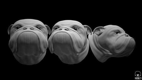 bouledogue tête animal chien brute animaux imprimable compagnie statue impression américain taureau canin art sculpture sculptures chienchien 3d print model - Mito3D