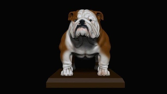 bouledogue Anglais perro americano brute art sculptures 3d print model - Mito3D