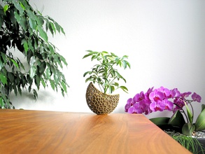 fiorente capsula fioriera art deco arredamento la decorazione il design fiore vaso di fiori regalo casa organico pot voronoi 3d altri 3d print model - Mito3D