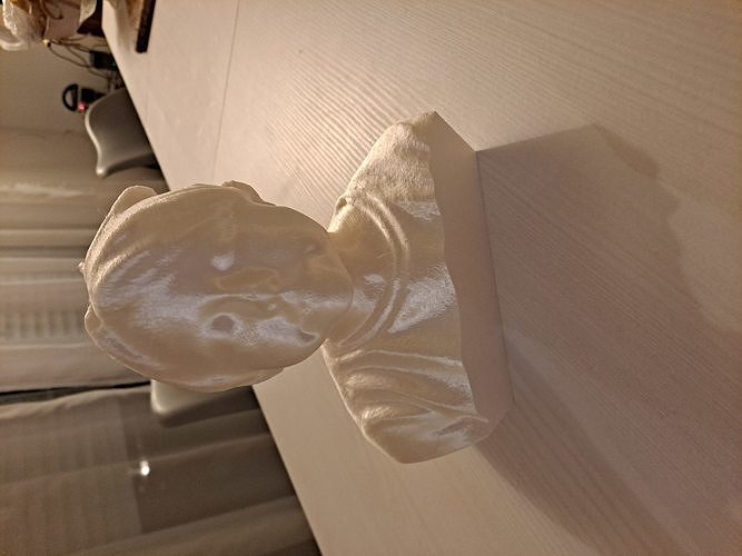 buste jeune fille sculpture art Jeune scanné scans répliques 3D print model - Mito3D