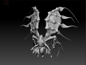borboleta criatura asas biologia animais selvagens anatomia corpo natureza ciência jogos brinquedos acessórios 3d print model - Mito3D
