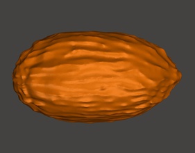 cacao haricot modèle biologie plantes fève agricole graine science 3d print model - Mito3D