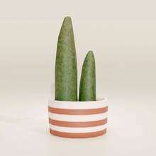 cactus pianta pentola 3d stampa succulenta stereolitografia in vaso flora giardino passatempo dipinto mano ornamento fiore botanico miniatura Fai 3d print model - Mito3D