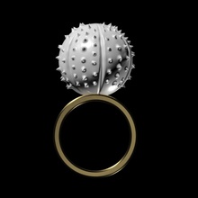 cactus jewelry ring brass silver ceramic clay rings 3d print model - Mito3D