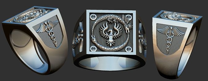caduceus Ouroboros yüzük Buda Budizm yin yang Budist yılan bizimoborus Horoborus bizimoboro Ejderha ilaç sembol Hermes Bilim eczane takı yüzükler 3D print model - Mito3D