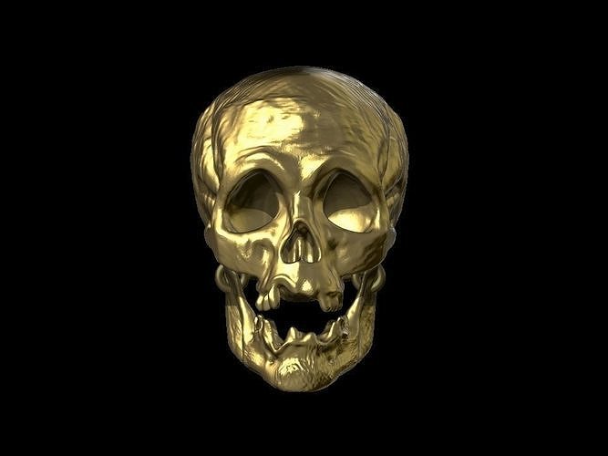 Mandíbula de maxilar humano real 02 Modelo 3D $39 - .c4d .max .fbx