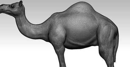 camel 3d print model whale animal strength saudi desert nature ut games toys 3d print model - Mito3D