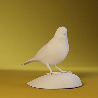 canary bird little animals cage nature fly feather animal home house decoration decor furniture city 3d print model - Mito3D