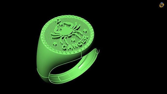 kanser zodyak yüzük Toplamak 3d dosya stl tasarım Yazdır takı yapımı model basılı baskı yazdırılabilir sanatsal hazır mücevherat yüzükler 3d print model - Mito3D