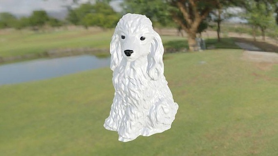 caniche chien animal compagnie 3dprint art sculptures 3d print model - Mito3D