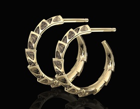 la carapace de l'émail boucles d'oreilles bijoux 3d imprimable stl boucle d'oreille des or d'argent le platine joyau brillant gem livre sterling femmes élégant mode 3d print model - Mito3D