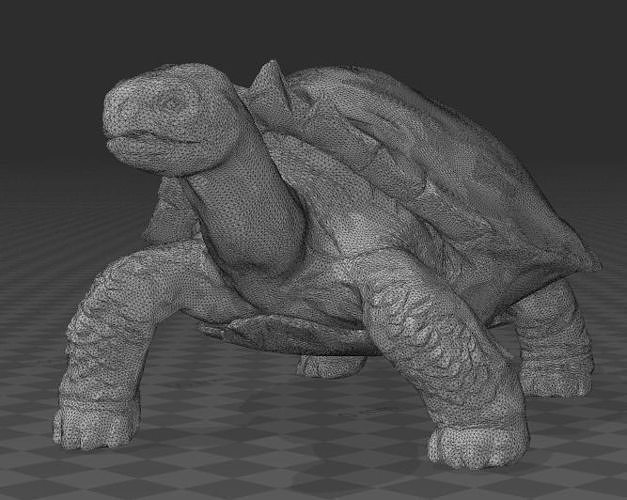 carbonemys dinosaure tortue jurassique disparu art sculptures 3D print model - Mito3D