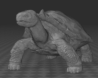 Carbonemys Dinosaurier Dino Schildkröte jurassisch ausgestorben Kunst Skulpturen 3d print model - Mito3D
