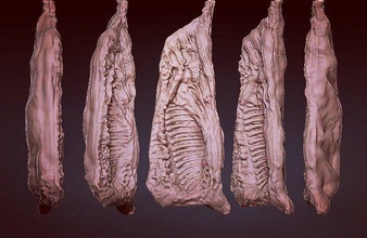 carcassa or roccioso figure mucca biologia muscolo anatomico corpo giochi giocattoli 3d print model - Mito3D