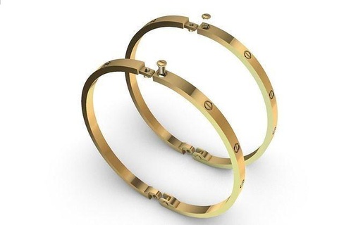 livre size20 bracelets 3d impression bijoux or bague 585 Ukraine bracelet rhinocéros marque crawdriver rin argent 3d print model - Mito3D