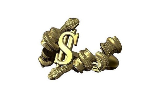 cash dollar money roll snake fashion ring animal dollars jewelry coins currency gold coin print silver man woman modern art euro pendants rings 3d print model - Mito3D