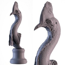 casoar sculpture of baleine nature réaliste animal statue oiseau décor miniature imprimable 3dprinter forêt argent or bague préscolaire buste casser ave fantaisie art sculptures 3d print model - Mito3D