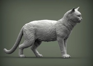 kedi 3d baskı hayvan memeli vahşi evcil yavru doğa yavrusu heykel heykelcik hatıra yazdır model şekil vermek sanat heykeller 3d print model - Mito3D