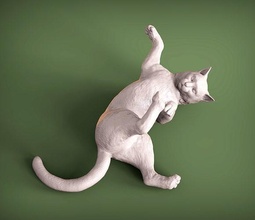 gato 3d impresión mentiras animal mamífero salvaje mascota gatito naturaleza escultura estatuilla recuerdo modelo Arte esculturas juego 3d print model - Mito3D