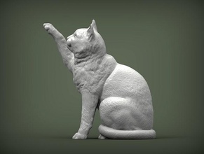 gatto 3d stampa animale mammifero selvaggio domestico gattino natura scultura statuetta souvenir modello scolpire arte sculture 3d print model - Mito3D