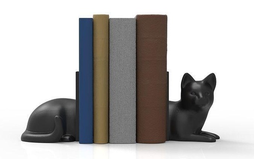 cat book rack decoration reading literature library knowledge isolated education paper wisdom school leather interior decor architectural furniture house 3d print model - Mito3D