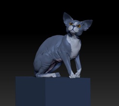 cat macya nature figure animal statue art sculptures 3d print model - Mito3D