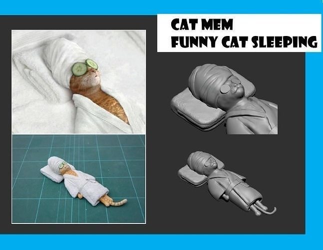 katze mem komisch schlafen tier tiger spiele spielzeuge 3D print model - Mito3D