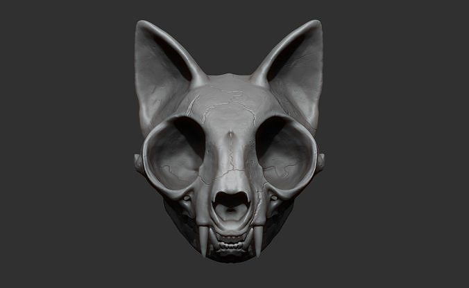 gato cráneo 3d impresión máscara cabeza naturaleza animal animales escultura zbrush figura anatomía diseño moda cuervo perro arte esculturas 3D print model - Mito3D