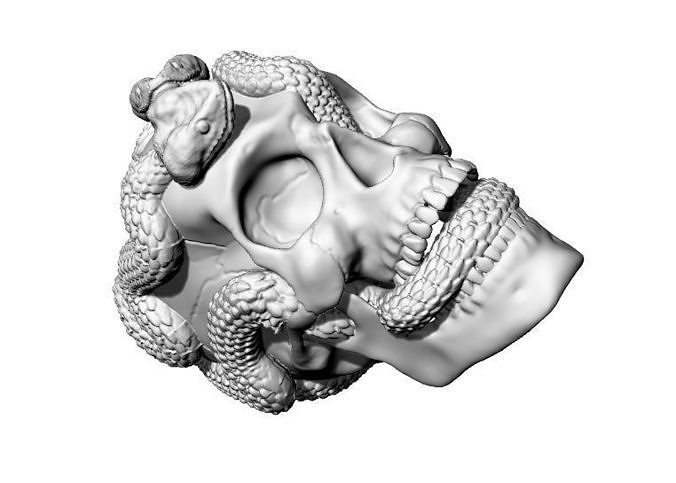 caveira cobras crânio cobra argolas joalharia serpente arte 3D print model - Mito3D