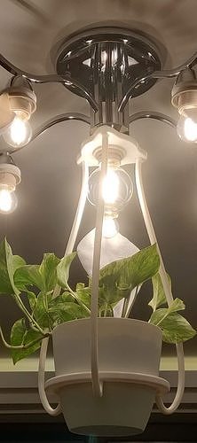 ceiling lamp plant home art pot decor design bulb light holder house lighting 3D print model - Mito3D