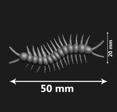 centipede 3d print insect centipedes toy games toys 3d print model - Mito3D