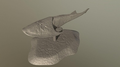 céphalasque disparu poisson paléoart dinosaure art sculptures 3d print model - Mito3D