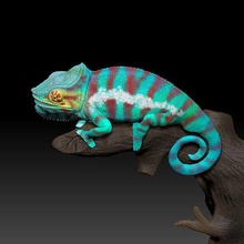 chamaeleon fourreur épuisé 3d impression modèle caméléon reptile science biologie 3d print model - Mito3D